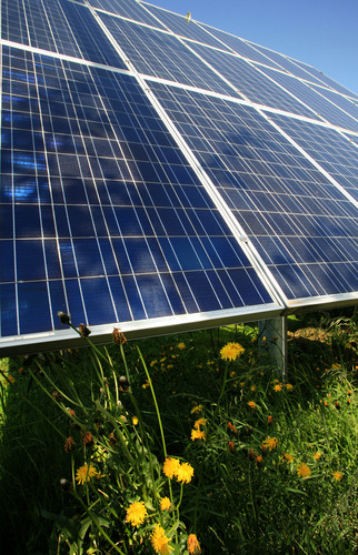 Photovoltaikanlage auf einer Wiese